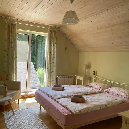 Holiday home Holiday Usadba Novoselitsa (Zakarpattia)