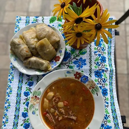 Usadba 펜션 Novoselitsa (Zakarpattia)