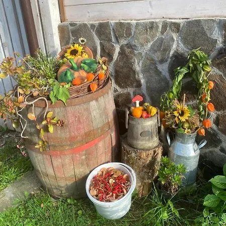 Holiday home Holiday Usadba Novoselitsa (Zakarpattia)