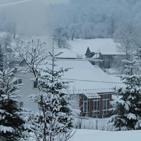 Holiday Usadba Novoselitsa (Zakarpattia)