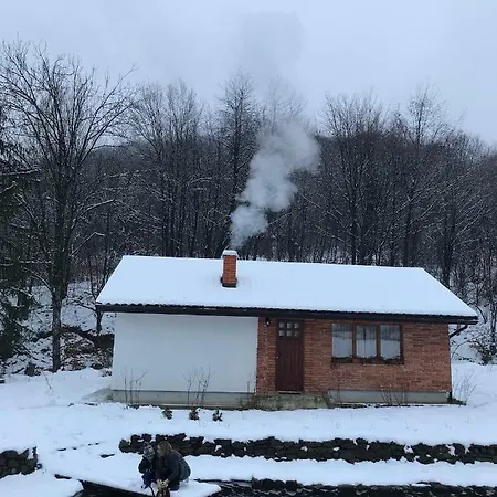 Holiday Usadba Novoselitsa (Zakarpattia)