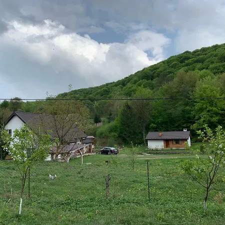 Holiday Usadba Novoselitsa (Zakarpattia)
