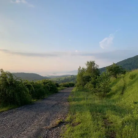 Holiday Usadba Ferienhaus Novoselitsa (Zakarpattia)