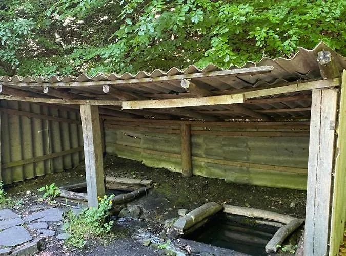 Usadba 別荘 Novoselitsa