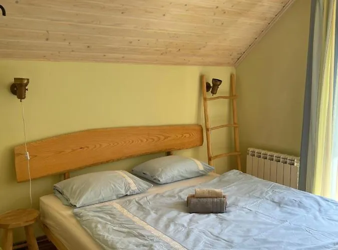 Usadba Prázdninový dům Novoselitsa (Zakarpattia)