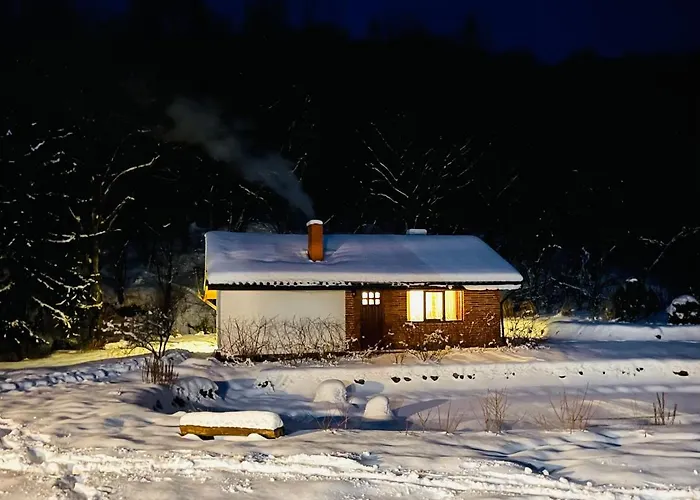 Prázdninový dům Usadba Novoselitsa (Zakarpattia)