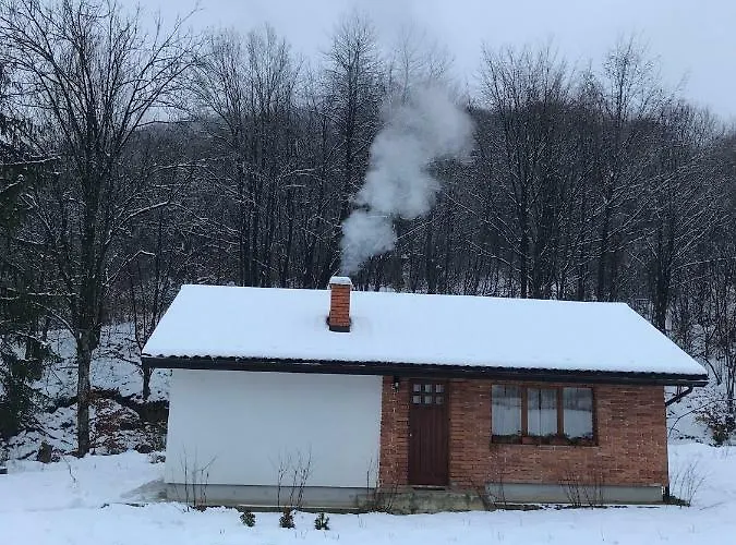 Usadba Novoselitsa