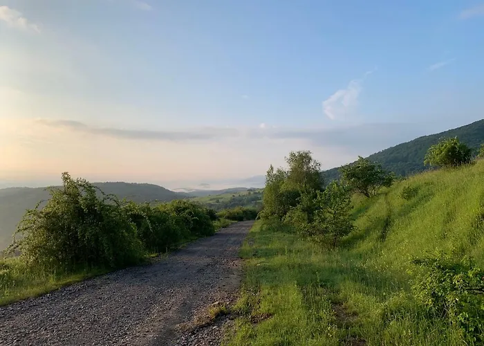 Usadba Prázdninový dům Novoselitsa (Zakarpattia)
