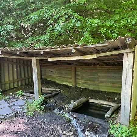 Usadba Сasa de vacaciones Novoselitsa (Zakarpattia)