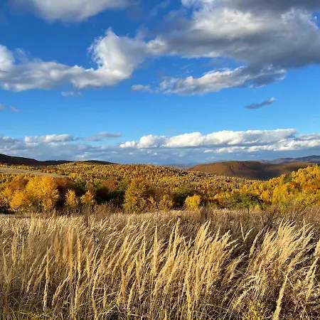 بيت للعطل Usadba Novoselitsa (Zakarpattia)